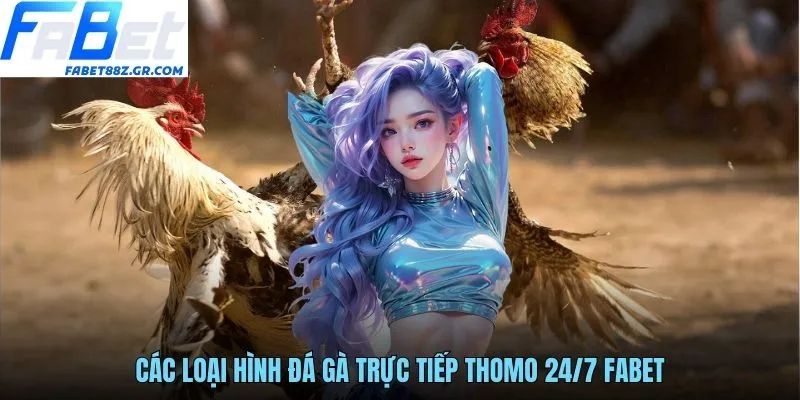 Các loại hình đá gà trực tiếp Thomo 24/7 FABET