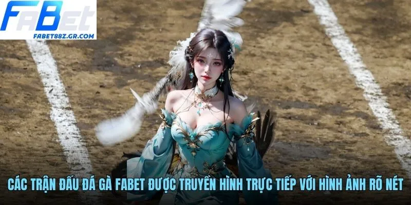 Các trận đấu đá gà FABET được truyền hình trực tiếp với hình ảnh rõ nét