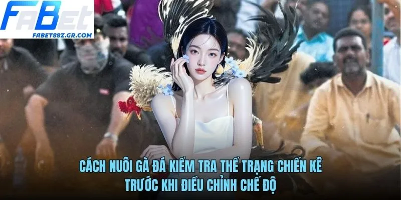 Cách nuôi gà đá kiểm tra thể trạng chiến kê trước khi điều chỉnh chế độ