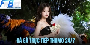 ĐÁ GÀ TRỰC TIẾP THOMO 24/7 FABET KỊCH TÍNH MỖI NGÀY