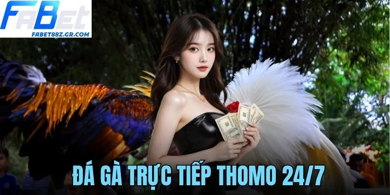 ĐÁ GÀ TRỰC TIẾP THOMO 24/7 FABET KỊCH TÍNH MỖI NGÀY