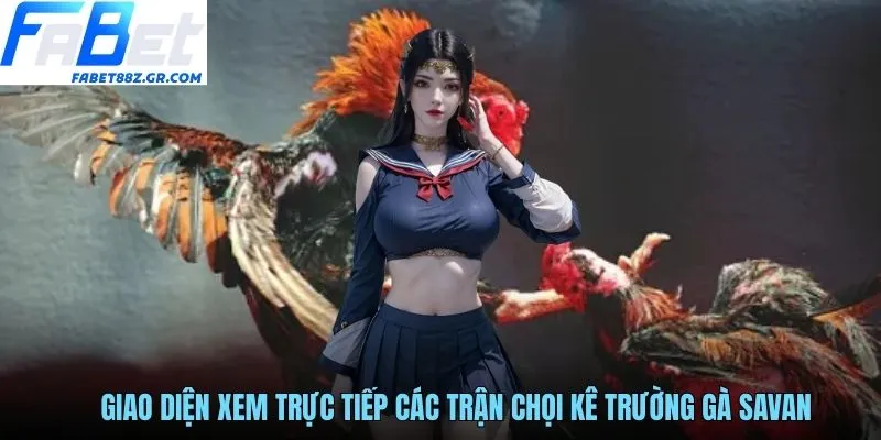 Giao diện xem trực tiếp các trận chọi kê trường gà Savan