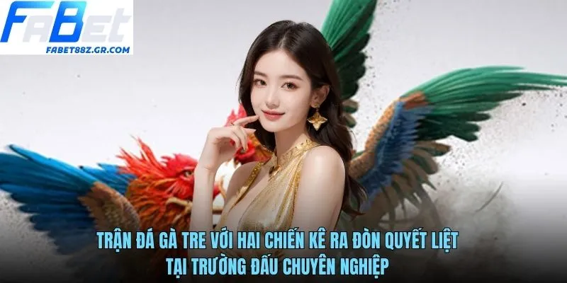 Trận đá gà tre với hai chiến kê ra đòn quyết liệt tại trường đấu chuyên nghiệp