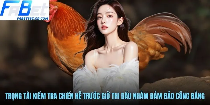 Trọng tài kiểm tra chiến kê trước giờ thi đấu nhằm đảm bảo công bằng
