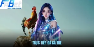 TRỰC TIẾP ĐÁ GÀ TRE FABET - THEO DÕI KỊCH TÍNH TỪNG GIÂY