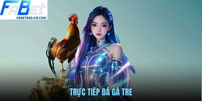 TRỰC TIẾP ĐÁ GÀ TRE FABET - THEO DÕI KỊCH TÍNH TỪNG GIÂY